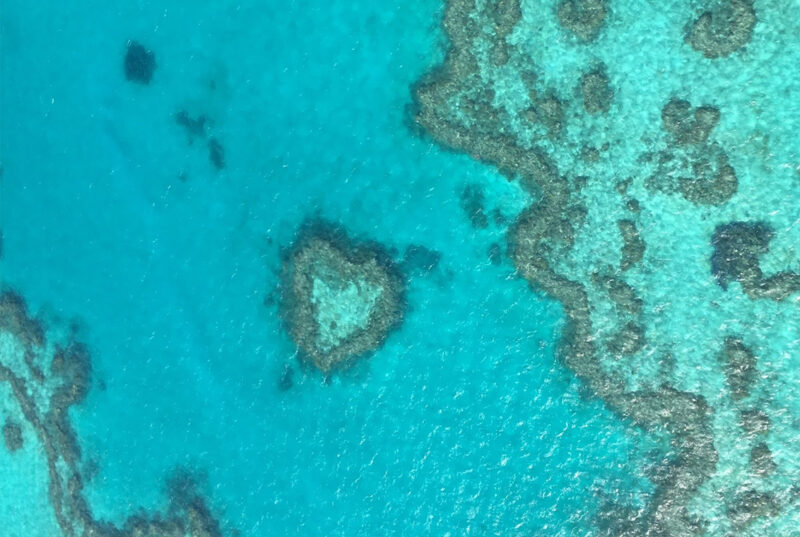 Love Island in the Great Barrier Reef, life is an adventure
