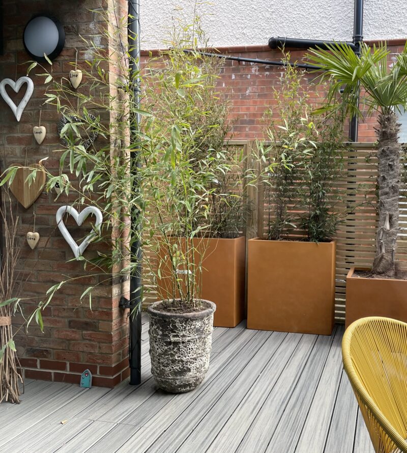 Courtyard garden with planting